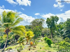 EN EXCLUSIVITE - PROPRIETE & SON JARDIN TROPICAL - SAINTE ANNE