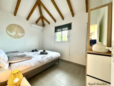 SET OF TWO RECENT VILLAS - SAINT FRANCOIS