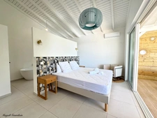 EXCLUSIVE - FOR SALE - LUXURY FURNISHED VILLA WITH SEA VIEW - SAINT FRANCOIS