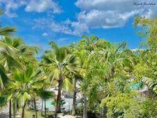 A VENDRE - CHARMANT STUDIO RENOVE AU COEUR D'UN CADRE TROPICAL RECHERCHE - SAINTE ANNE