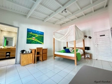LUXURY VILLA WITH CREOLE CHARM - SAINT FRANCOIS
