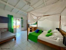 LUXURY VILLA WITH CREOLE CHARM - SAINT FRANCOIS