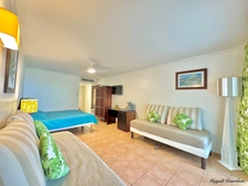 A VENDRE – GRAND STUDIO MEUBLÉ VUE MER CLÉ EN MAIN EN RÉSIDENCE TOURISTIQUE AVEC ACCÈS DIRECT PLAGE - SAINTE ANNE