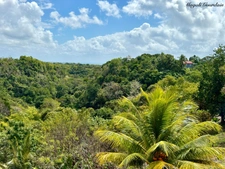 EN EXCLUSIVITE - PROPRIETE & SON JARDIN TROPICAL - SAINTE ANNE