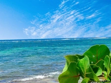EN EXCLUSIVITÉ – LE MOULE - GRAND STUDIO MEUBLÉ – REZ-DE-CHAUSSÉE – PETITE VUE MER