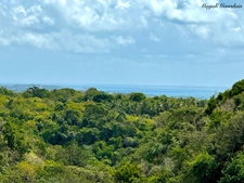EN EXCLUSIVITE - PROPRIETE & SON JARDIN TROPICAL - SAINTE ANNE
