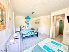 EXCLUSIVITÉ – VILLA AVEC 3 GITES A FORT POTENTIEL LOCATIF – QUARTIER RECHERCHE DE SAINTE ANNE