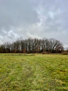 Terrain à bâtir viabilisé de 816 m² à Saint-Sardos (82) – proche Montech
