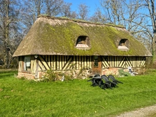 Elegant 16-room house for sale in SAINT GATIEN DES BOIS (14)