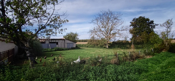Terrain constructible de 1600m2 à St Gervais en Valliere