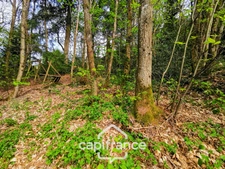 Maison de 70m² à vendre à BEAUBERY (71)