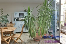 Dpt Lot et Garonne (47), à vendre VILLENEUVE SUR LOT appartement ,idéal investisseurs, ou grande famille