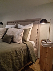 Dpt Ain (01), for sale near MONTREVEL EN BRESSE mill P28