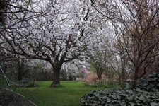 Dpt Ain (01), for sale near MONTREVEL EN BRESSE mill P28