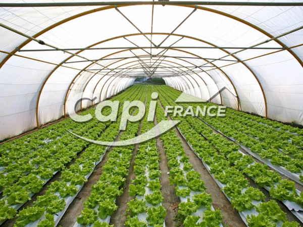 Ensemble agricole avec maison d’habitation indissociable – moins de 50 ha proche d' ENNEZAT (63)