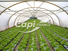🌾 Ensemble agricole avec maison d’habitation – moins de 50 hectares proche de SAINT POURCAIN SUR SIOULE (03)