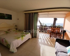 SUPERBE APPARTEMENT 34m²TERRASSE VUE MER PANORAMIQUE - SAINTE ANNE (972)