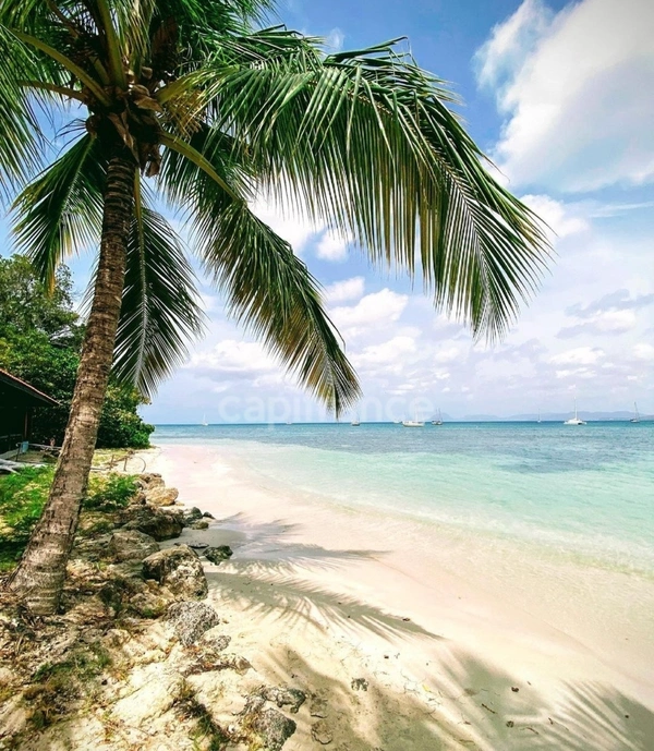 A 200 METRES DES PLAGES* STUDIO MEUBLÉ EN RDC* ACCESSIBLE PMR* PARKING PRIVÉ*  STE ANNE (972)