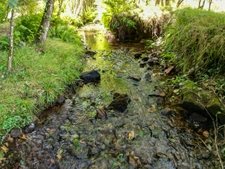 Propriété d’Exception au Cœur de la Montagne Noire — Un Écrin de Nature entre Carcassonne et Mazamet