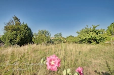 Dpt Charente Maritime (17), à vendre MARSILLY terrain 