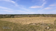 A vendre MARSEILLAN ville terrain agricole plat, vacances, soleil, mer