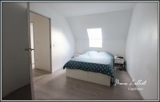 Maison à vendre 4 pièces SERMAISES (45), 108m², 3 chambres, vie de plain pied, 2 salles d'eau, 