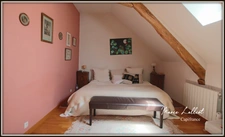 Dpt  (45) à vendre, maison 9p, Puiseaux, 178m² env., caves, grange, dépendances, 4 chambres