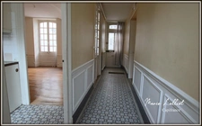 Maison à vendre 9 pièces PITHIVIERS (45), 6 chambres, plain pied, parquet massif, cave, grenier, 2 cours.