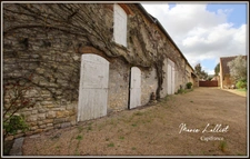 Dpt Loiret (45), à vendre YEVRE LE CHATEL maison 7p, 220m² sup. utile, 4 chambres, dépendances, garages