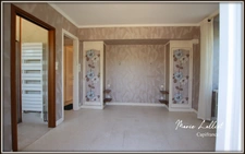 Propriété 2 maisons, Loiret, 322m², 8 chambres, jardin clos, Pierres
