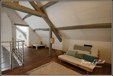 Property Exposed stones, 242m², 5 bedrooms, Children's dormitory and mezzanine, Loiret, Swimming pool, Jacuzzi, Tennis court, Garage, Car Port