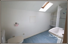 Maison à vendre 6 pièces DADONVILLE (45), sous sol, 4 chambres, vie de plain pied, Terrain clos, commerces de proximité, poêle a granulés.