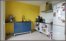 Maison à vendre 4 pièces SERMAISES (45), 108m², 3 chambres, vie de plain pied, 2 salles d'eau, 