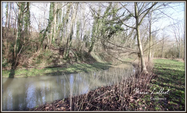 Maison à vendre 12 pièces, Grand séjour, 6 chambres, Terrain de Tennis, Bois, Cours d'eau