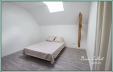 Maison à vendre 10p, 360m², 5 chambres, dépendances, gite, garages, vaste salon