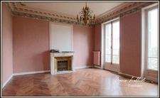 Dpt Loiret (45), à vendre PITHIVIERS centre, Appartement Rez de Chaussée, Plain Pied, Maison Bourgeoise, garage, Jardin, cave, 3 chambres