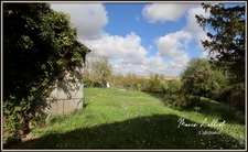 Dpt Loiret (45), à vendre YEVRE LE CHATEL maison 7p, 220m² sup. utile, 4 chambres, dépendances, garages
