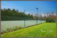 Property Exposed stones, 242m², 5 bedrooms, Children's dormitory and mezzanine, Loiret, Swimming pool, Jacuzzi, Tennis court, Garage, Car Port