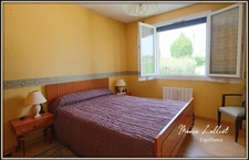 Maison à vendre 6 pièces DADONVILLE (45), sous sol, 4 chambres, vie de plain pied, Terrain clos, commerces de proximité, poêle a granulés.