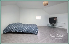 Maison à vendre 10p, 360m², 5 chambres, dépendances, gite, garages, vaste salon