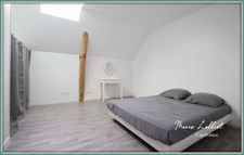 Maison à vendre 10p, 360m², 5 chambres, dépendances, gite, garages, vaste salon