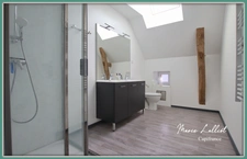 Maison à vendre 10p, 360m², 5 chambres, dépendances, gite, garages, vaste salon