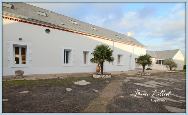 Maison à vendre 10p, 360m², 5 chambres, dépendances, gite, garages, vaste salon