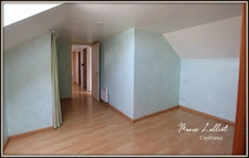 Maison à vendre 6 pièces DADONVILLE (45), sous sol, 4 chambres, vie de plain pied, Terrain clos, commerces de proximité, poêle a granulés.