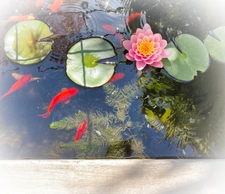 Appartements T6, Esprit Loft à usage habitation ou professionnel à Grigny-sur-Rhône