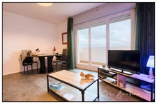 Appartement 2 pièces - 49m2 - PAU - Vue imprenable