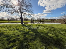 Etang avec terrain à vendre  SAINT LAURENT D'ANDENAY (71)