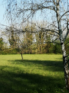 SAINT PIERRE D'AMILLY 