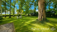ESTIBEAUX (40), HOUSE OF 192 M², 5 BEDROOMS, SWIMMING POOL, STUDIO AND OUTBUILDING ON 4,400 M²