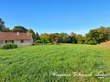 MIMBASTE (40), FERME LANDAISE DE PLAIN-PIED - 4 CHAMBRES - DÉPENDANCES - TERRAIN 4 500 M² 